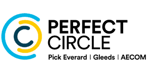 perfect circle (2)